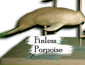 Finless Porpoise