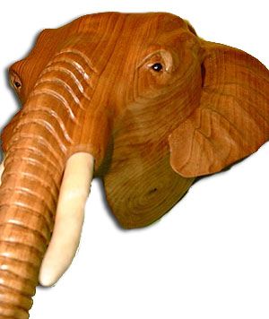 Elephant Detail full