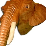Elephant Detail full