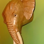 Elephant Side